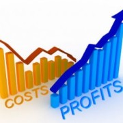 reduce cost and increase profit